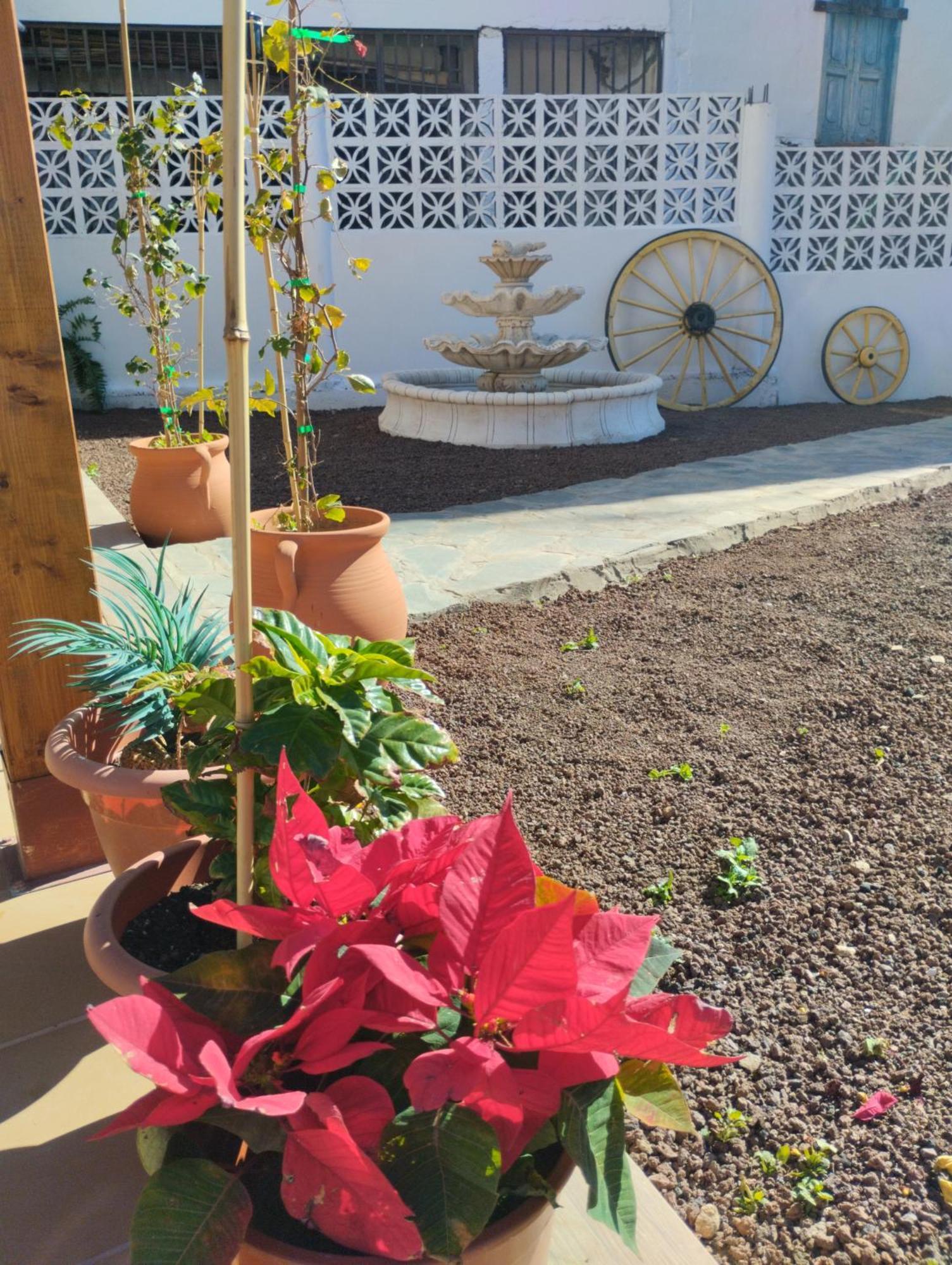 Casita Fataga 아파트 외부 사진
